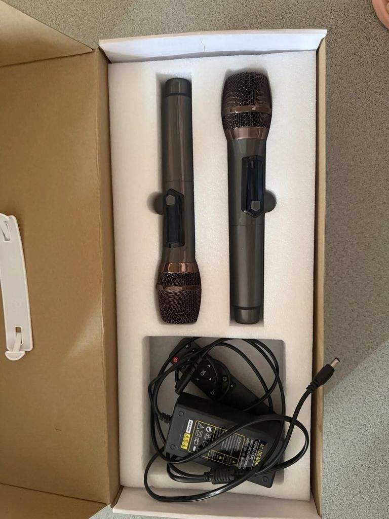 Караоке система Amplified Sound Box с двумя беспроводными микрофонами