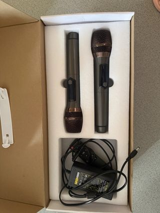 Караоке система Amplified Sound Box с двумя беспроводными микрофонами