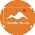 Аналитика Эс Си Ар