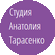 Студия Анатолия Тарасенко